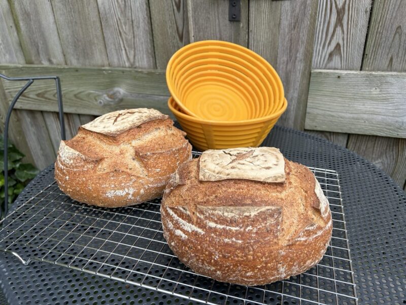 Kunststof Rijsmandje Rond (23x15x10 cm) - Impressie Kunststof Rijsmandje Rond (23x15x10 cm) - Impressie